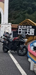 Motocicleta de Turismo Retro Vintage VOGE <span class=keywords><strong>300DS</strong></span> (Wuji <span class=keywords><strong>300DS</strong></span>) - ABS, Gran Distancia al Suelo, Gasolina, Lujo Clásico |   Precio de Fábrica Wuji - Product Image 5