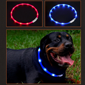2025 <span class=keywords><strong>Pet</strong></span> Impermeável USB Recarregável Silicone LED Dog <span class=keywords><strong>Collar</strong></span> Noite Segurança <span class=keywords><strong>Flash</strong></span> Brilho no Escuro Luminoso Cão Colar <span class=keywords><strong>Pet</strong></span> Fornecimentos - Product Image 3