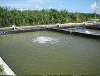 Géomembrane HDPE résistante aux intempéries pour bassin extérieur, longue durée de vie, revêtement imperméable