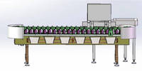 PLC-gestuurde garnalensorteermachine voor vis en fruit, gewichtssortering, 1 jaar garantie, 240 kg getest & gecertificeerd