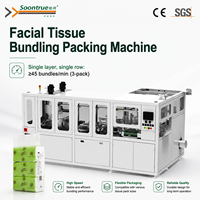 Machine d'emballage de mouchoirs en papier entièrement automatique à grande vitesse, machine à mouchoirs multi-paquets avec double chargeur 400 sacs
