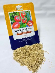 เมล็ดมะเขือเทศพันธุ์โบตานี ดูเว่ เอฟ1: เมล็ดพันธุ์มะเขือเทศพันธุ์ไฮแลนด์ให้ผลผลิตสูง ทนโรค ผู้จัดจำหน่ายเมล็ดพันธุ์ - Product Image 6