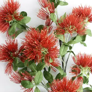 घर की सजावट अल्बिज़िया फूल क्रिसमस पिन्कुशन उत्सव नया ज़ेलैंड पोहुकावा लाल फूल