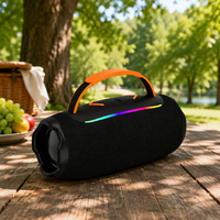 Nouvelle Enceinte Portable Extérieure 16W Haute Puissance RGB avec Radio, Carte TF, Clé USB et Audio Sans Fil TWS 2026