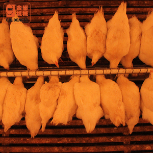 جهاز إطعام بسلسلة من جنوب أفريقيا للإناث, جهاز إطعام بسلسلة دجاج مُرضع - Product Image 4