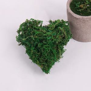 Muschio Verde Naturale Essiccato all'Ingrosso per <span class=keywords><strong>Vasi</strong></span> di <span class=keywords><strong>Orchidee</strong></span> - Product Image 4