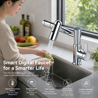 Robinet de cuisine en acier inoxydable 304 avec contrôle thermostatique, douchette extractible, finition brossée, mural, pour hôtels et hôpitaux