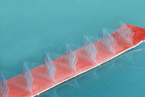 FB24 Loại Phẳng Làm Sạch Fillet Thẻ Linh Hoạt Quần Áo Cho Dệt Carding Máy Dây Cho Rieter C4/C50/C51/C60/C70 - Product Image 5