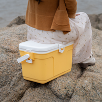 Glacière isotherme 13 L avec poignée, personnalisable avec logo sérigraphié, durable, pour activités de plein air - Vente en gros usine