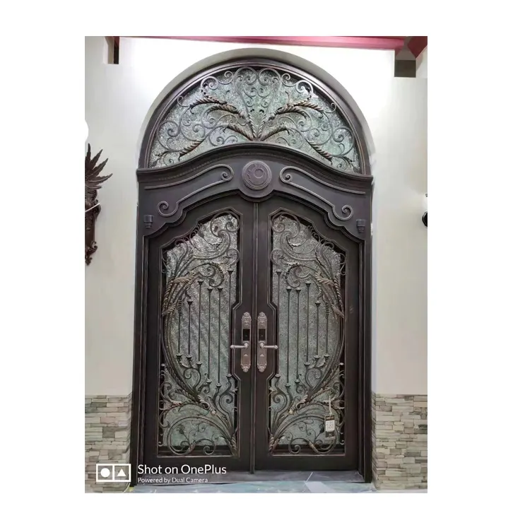 Dekoratif güvenlik kapısı/ferforje tek kapı/demir ızgara kapı tasarımları cam