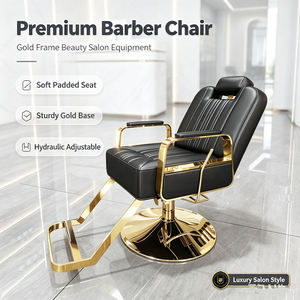 Sillón de Peluquería Metálico de Alta Gama con Elevación para Salón de Belleza, Barbería, Peluquería, Tintes, Permanentes y Servicios de Champú - Product Image 1