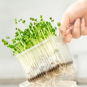 Plateau pour micro-pousses, petits légumes, tapis de culture hydroponique, feutre de jute pur perforé à l'aiguille, écologique, tapis de culture biologique - Product Image 4
