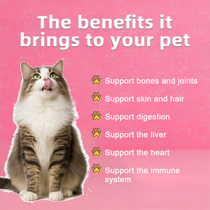 Comprimés à mâcher probiotiques personnalisés pour chiens, marque privée, complément alimentaire pour allergies et système immunitaire, pour la santé intestinale, également pour chats - Product Image 4