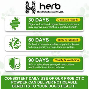 Suplemento Probiótico en Polvo para Mascotas ODM/OEM, Salud Digestiva para Perros, Apoyo para el Intestino - Product Image 6