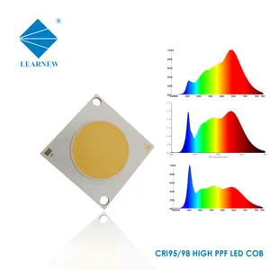 Chip LED COB ad alta potenza per lampioni interni ed esterni, illuminazione a LED, 2828, 4046, 10W, 50W, 100W, 200W, COB, 1919