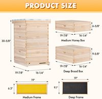 Nouvelle ruche à abeilles Witbee, 10 cadres, revêtement cireux, système de jointure en queue d'aronde Langstroth, en sapin de Chine beige, 1 à 4 couches, 20 mm