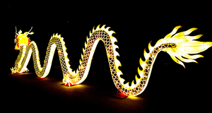 Chinesisches Neujahr Erntedankfest Weihnachten Drachen-Laterne Große LED Wasserdichte Ausstellungsdekoration - Product Image 6