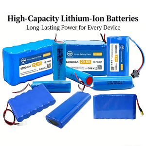 OEM ODM Индивидуальный литий-ионный аккумуляторный блок 2S1P 7.4V 2000mAh 18650 для портативных электростанций, уличного освещения и портативных электроинструментов - Product Image 1