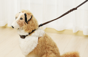 250cm starkes Hoch leistungs seil Geflochtenes integriertes Hunde halsband und Leine Verstellbares Anti-Kollisions-Halsband und Leine aus echtem Rindsleder - Product Image 6