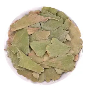 Thé de feuilles séchées de ginkgo biloba en vrac à feuilles entières de ginkgo biloba à vendre