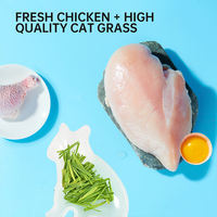 YEE Friandises pour chats à base d'herbe à chat et de viande crue lyophilisée, riches en protéines, pour un soulagement doux des boules de poils