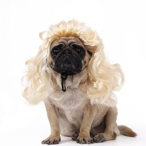 Nouvelle Perruque Universelle pour Chien, Accessoire de Fête d'Halloween avec Grande Coiffure Ondulée, Fournitures Amusantes pour Animaux de Compagnie (Chiens et Chats) pour l'Été - Product Image 3
