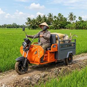 Passenger Tricycle DC72V System 400kg Payload Three Wheeler with Foldable <b>Box</b> for Farm Use - Product Image 4