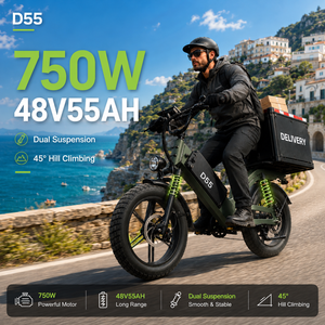 Bicicleta Eléctrica de Reparto D55, 750W, 48V55Ah, Neumático Grueso de 20 Pulgadas, Autonomía de 240 km, Suspensión Doble OEM, Bicicleta de Carga para Todo Terreno - Product Image 1