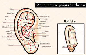 Modelo de oreja de goma de silicona Cloud & Dragon para terapia de acupuntura modelo de oreja china con puntos auriculares - Product Image 6