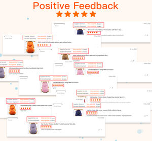 Nuovo Design Personalizzato: Gilet Riflettente Regolabile per Cani da Esterno, Guinzaglio Riflettente per Cani per Corsa, Ciclismo e Passeggiate - Product Image 6