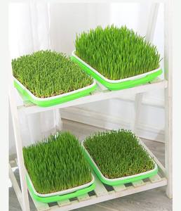 Plateau de semis pour la culture de germes de soja, plateau de germination pour la culture hydroponique de <span class=keywords><strong>l</strong></span>égumes, plateau de drainage pour la germination - Product Image 2