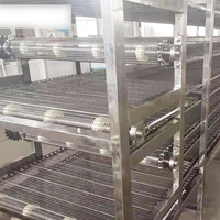 Droogmachine Droger Industriële Fruit Gaas Riem Droger Cassave Chips/Houtskool Briketten Droogmachine Hennep Droger