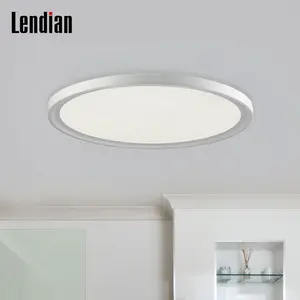 オーストラリア承認のアルミニウム円形ラウンドダリランプpainel de led 40w 6000k cct調整可能パネルフラットライト天井用