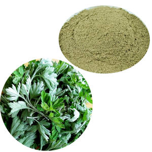 naturalmugwortextractpowder
