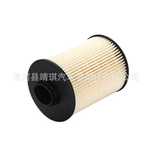 Filtro de Combustible Fs19925 396-4061 396-8105 526-4870 10256-9543 para Motor Diésel Fukuda, Pieza de Repuesto - Product Image 3