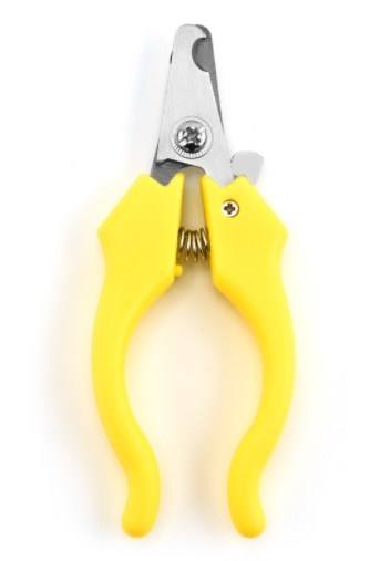 สีเหลือง