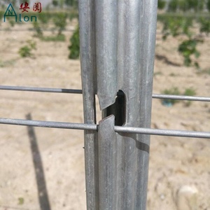<span class=keywords><strong>Precio</strong></span> <span class=keywords><strong>de</strong></span> fábrica Venta caliente Estacas <span class=keywords><strong>de</strong></span> uva <span class=keywords><strong>de</strong></span> metal galvanizado/Poste <span class=keywords><strong>de</strong></span> enrejado <span class=keywords><strong>de</strong></span> Viñedo - Product Image 1