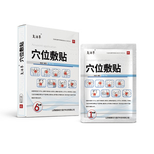 Parche de hierbas medicinales para puntos de acupuntura, 6 parches para próstata, diabetes, reumatismo, enfermedades óseas, compresa térmica - Product Image 3