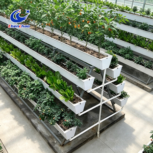 High Yield Greenhouse Vertical Hydroponic System A-Frame Strawberry Gutter System PVC <strong>Planting</strong> <strong>Trough</strong> for <strong>Large</strong> Scale Farm - Product Image 6