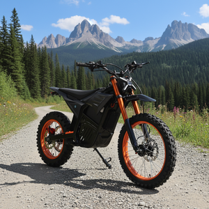 Motocicleta Eléctrica con Batería de Litio de 22.5AH y Motor sin Escobillas de 4500W para Adultos, Precio al por Mayor - Product Image 5