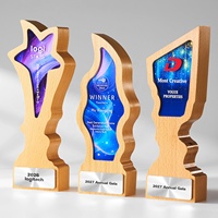 Trophée personnalisé en bois avec impression UV, texte personnalisé, récompense pour les réalisations professionnelles, souvenir, plaque en bois