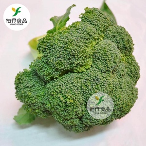 Cinese <span class=keywords><strong>Fresh</strong></span> <span class=keywords><strong>Broccoli</strong></span> Grado UN Vegetale <span class=keywords><strong>Broccoli</strong></span> In Scatola di Cartone - Product Image 2