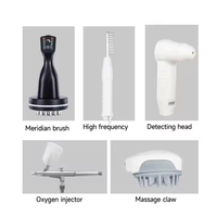 Appareil portable de thérapie capillaire avec détecteurs HD, analyseur de cuir chevelu, machine de massage du cuir chevelu pour usage domestique et salons de beauté