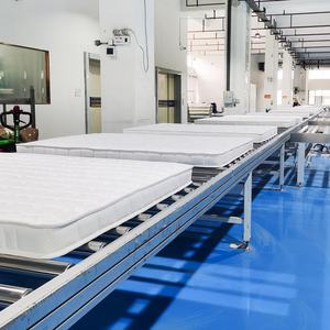 Canapé-<span class=keywords><strong>lit</strong></span> économique multifonctionnel à cadre en fer rabattable Mobilier d'appartement d'hôtel <span class=keywords><strong>Matelas</strong></span> pliable à double usage Usine - Product Image 6