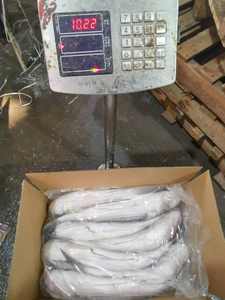 F102 Alta qualidade Venda quente 500G + Eviscerado Cinza Congelado Mullet Fish - Product Image 6