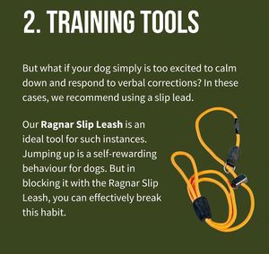 Arnés Táctico para Perro K9 de Diseño Moderno, Chaleco de Nailon 420D con Malla de PU Acolchada - Product Image 4