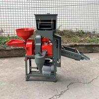 Moulin à riz entièrement automatique 220V, décortiqueuse d'avoine, petit modèle d'exportation pour l'Afrique, capacité de 100 tonnes/jour, garantie de 2 ans