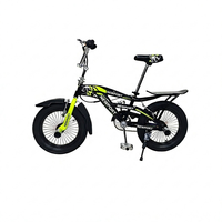 Mini-vélos de performance pour adultes, personnalisés en usine, à bas prix, avec cadre en acier de 16 pouces, vélos de sport en plein air, cycles BMX