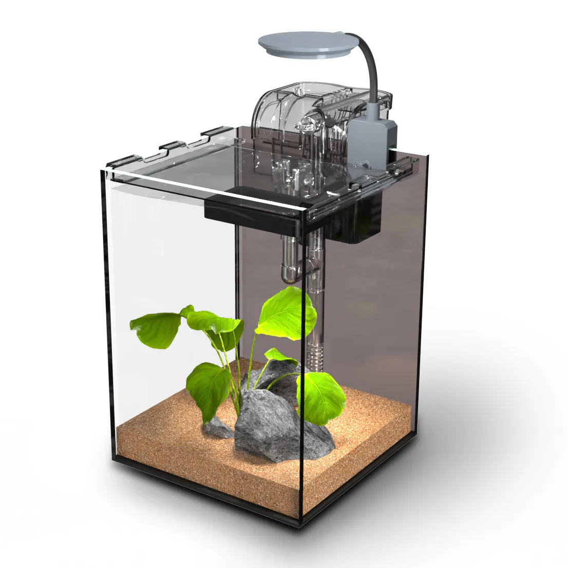 Mini aquarium carré en verre sans eau, petit aquarium de bureau écologique et créatif pour la maison