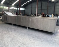Industriële groentewasmachines, soorten voor het wassen van groenten en fruit